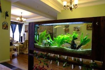 魚缸位置風水擺放有什麼方法