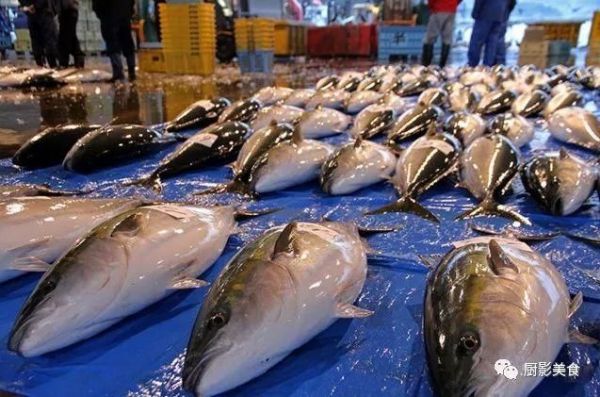 頂級刺身壽司魚類大全 頭條新聞